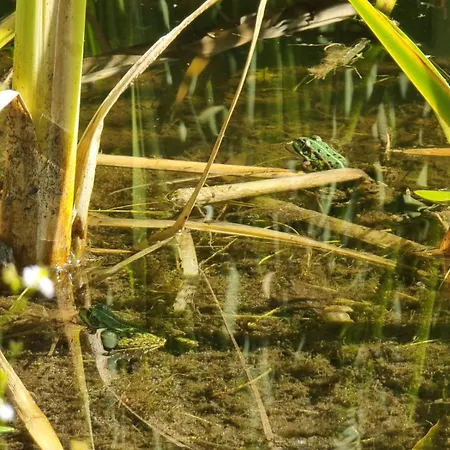 Woodorf Drewnem Uslane - Dom Z Jacuzzi Nad Rzeka Slupia Wsrod Pol I Lasow Z Grillowa, Ogniskiem I Placami Zabaw Dla Dzieci *