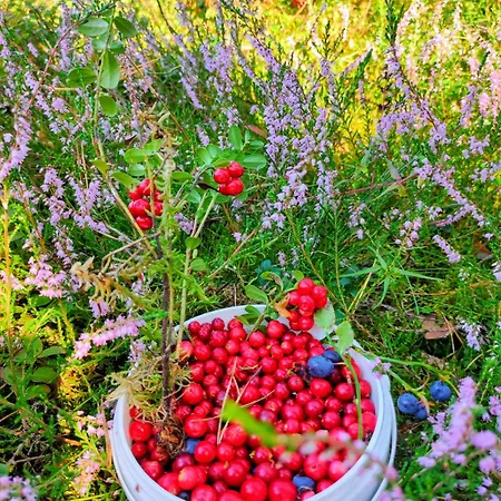 Woodorf Drewnem Uslane - Dom Z Jacuzzi Nad Rzeka Slupia Wsrod Pol I Lasow Z Grillowa, Ogniskiem I Placami Zabaw Dla Dzieci Vila *