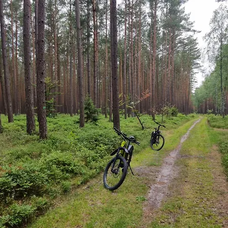Woodorf Drewnem Uslane - Dom Z Jacuzzi Nad Rzeka Slupia Wsrod Pol I Lasow Z Grillowa, Ogniskiem I Placami Zabaw Dla Dzieci * Ustka