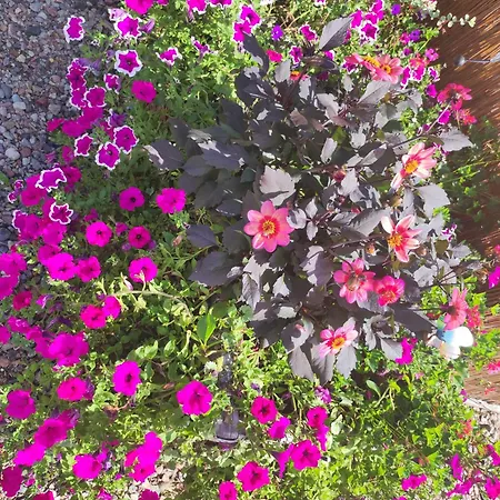 Woodorf Drewnem Uslane - Dom Z Jacuzzi Nad Rzeka Slupia Wsrod Pol I Lasow Z Grillowa, Ogniskiem I Placami Zabaw Dla Dzieci Vila Ustka