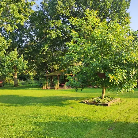 Vila Woodorf Drewnem Uslane - Dom Z Jacuzzi Nad Rzeka Slupia Wsrod Pol I Lasow Z Grillowa, Ogniskiem I Placami Zabaw Dla Dzieci *