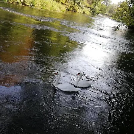 Vila Woodorf Drewnem Uslane - Dom Z Jacuzzi Nad Rzeka Slupia Wsrod Pol I Lasow Z Grillowa, Ogniskiem I Placami Zabaw Dla Dzieci Ustka