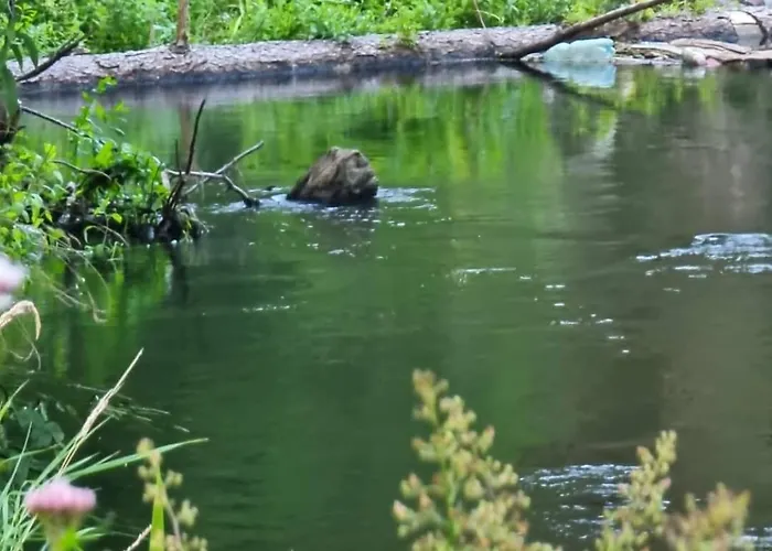 Woodorf Drewnem Uslane - Dom Z Jacuzzi Nad Rzeka Slupia Wsrod Pol I Lasow Z Grillowa, Ogniskiem I Placami Zabaw Dla Dzieci Ustka