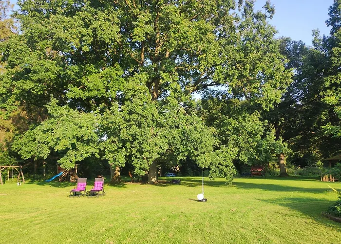 Woodorf Drewnem Uslane - Dom Z Jacuzzi Nad Rzeka Slupia Wsrod Pol I Lasow Z Grillowa, Ogniskiem I Placami Zabaw Dla Dzieci