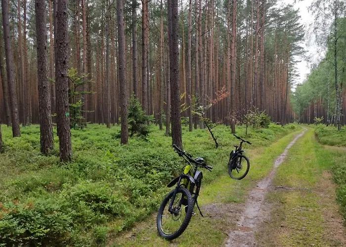 Woodorf Drewnem Uslane - Dom Z Jacuzzi Nad Rzeka Slupia Wsrod Pol I Lasow Z Grillowa, Ogniskiem I Placami Zabaw Dla Dzieci * Ustka