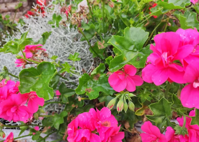 Villa Woodorf Drewnem Uslane - Dom Z Jacuzzi Nad Rzeka Slupia Wsrod Pol I Lasow Z Grillowa, Ogniskiem I Placami Zabaw Dla Dzieci