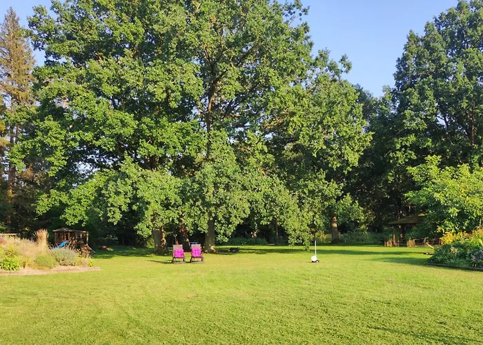 Villa Woodorf Drewnem Uslane - Dom Z Jacuzzi Nad Rzeka Slupia Wsrod Pol I Lasow Z Grillowa, Ogniskiem I Placami Zabaw Dla Dzieci