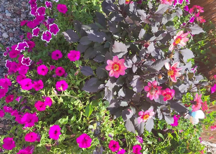 Woodorf Drewnem Uslane - Dom Z Jacuzzi Nad Rzeka Slupia Wsrod Pol I Lasow Z Grillowa, Ogniskiem I Placami Zabaw Dla Dzieci Villa Ustka