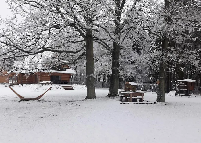 Villa Woodorf Drewnem Uslane - Dom Z Jacuzzi Nad Rzeka Slupia Wsrod Pol I Lasow Z Grillowa, Ogniskiem I Placami Zabaw Dla Dzieci *