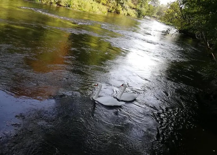 Villa Woodorf Drewnem Uslane - Dom Z Jacuzzi Nad Rzeka Slupia Wsrod Pol I Lasow Z Grillowa, Ogniskiem I Placami Zabaw Dla Dzieci Ustka